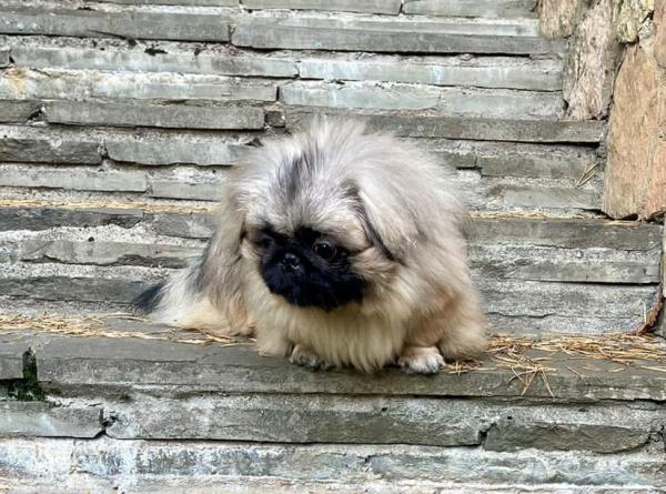 Прикрепленное изображение: IMG-20241019-WA0050.jpg